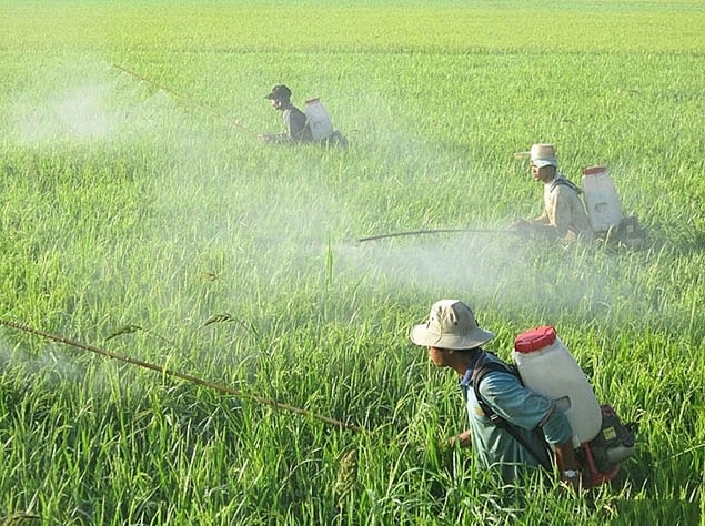 Tiếp xúc với các tác nhân hóa học gây ung thư, chẳng hạn như thuốc trừ sâu