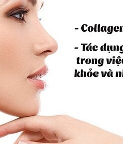 Công dụng của collagen với sức khỏe và làm đẹp (1)