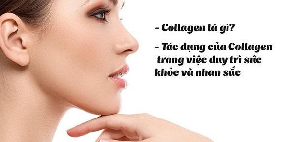 Công dụng của collagen với sức khỏe và làm đẹp (1) Công dụng của collagen với sức khỏe và làm đẹp (1)