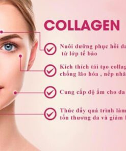 Vai trò thật sự của Collagen (3)