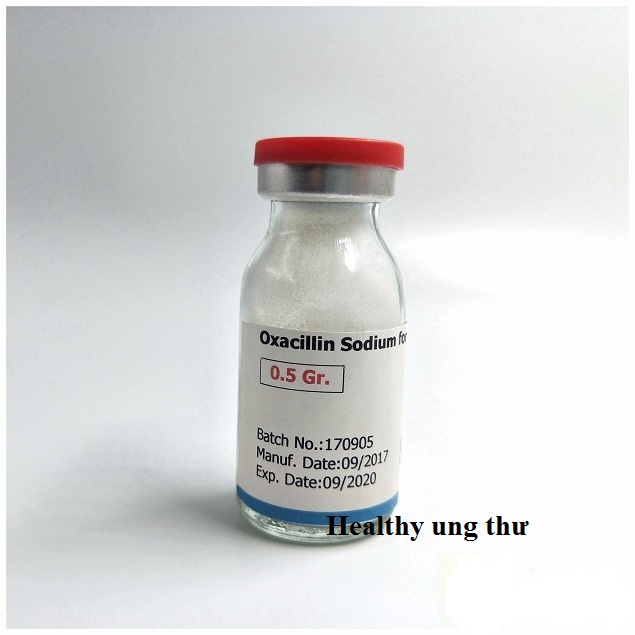 Oxacillin điều trị nhiều bệnh nhiễm trùng khác nhau do vi khuẩn (5)