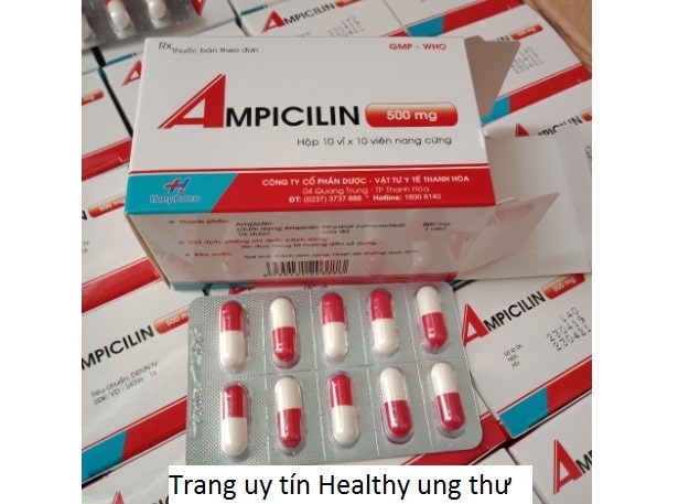 Thuốc Ampicillin 500mg - Công Dụng, Liều Dùng, Những Lưu Ý Khi Sử Dụng (2)
