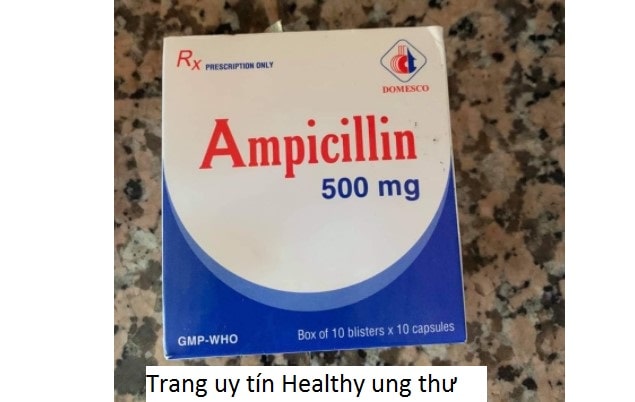 Thuốc Ampicillin 500mg - Công Dụng, Liều Dùng, Những Lưu Ý Khi Sử Dụng (3)