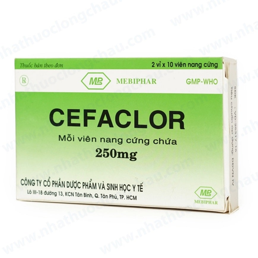 Thuốc Cefaclor 250mg - Công dụng, Liều dùng, Những lưu ý khi sử dụng (4)