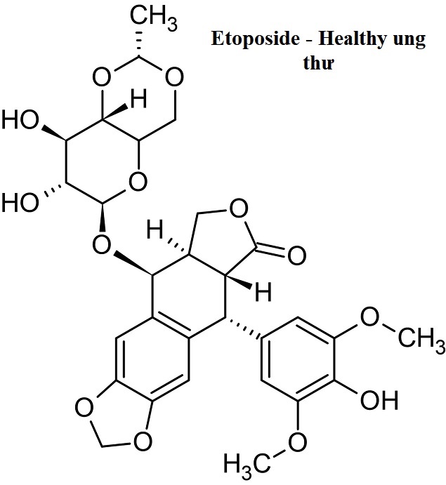 Etoposide Healthy Ung Thư