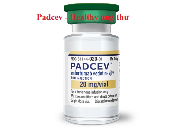 Nhung luu y truoc khi dung Padcev