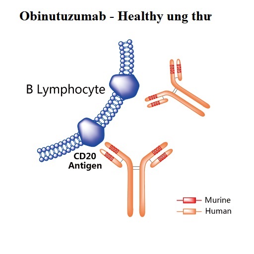 Obinutuzumab